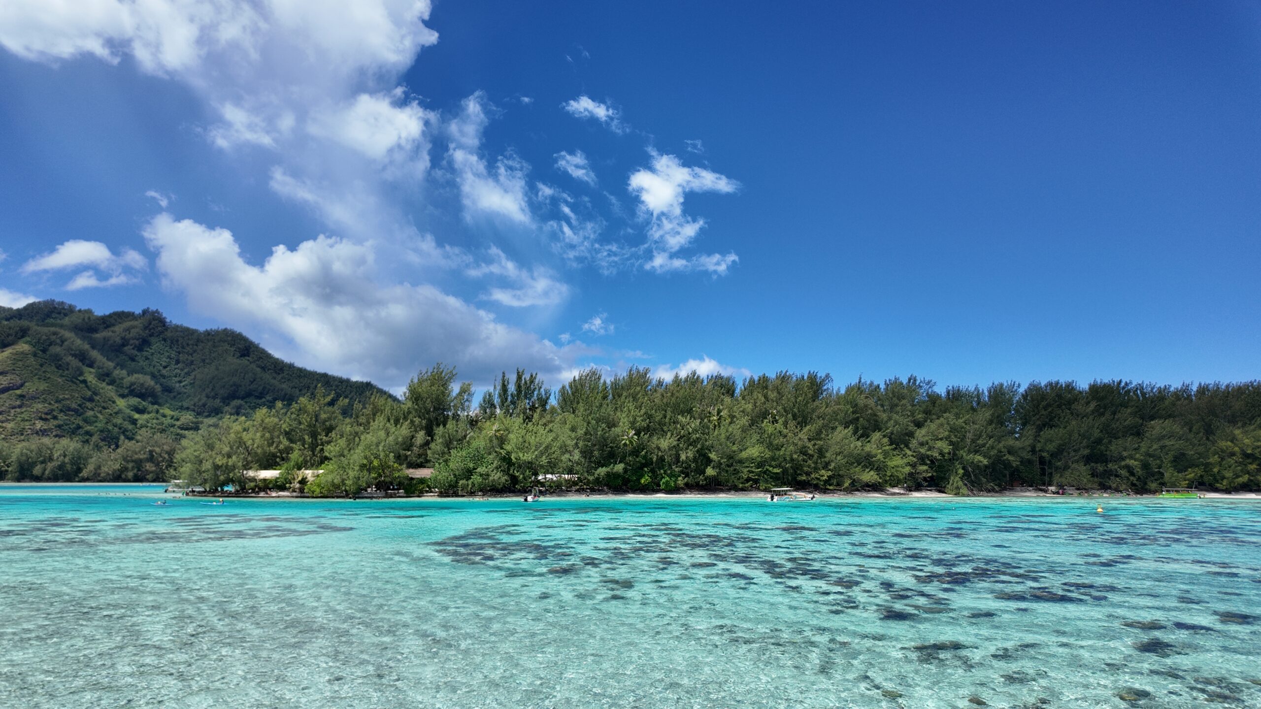 Moorea Explorer Excursion lagon avec Moorea Explorer - Tahiti Pratique
