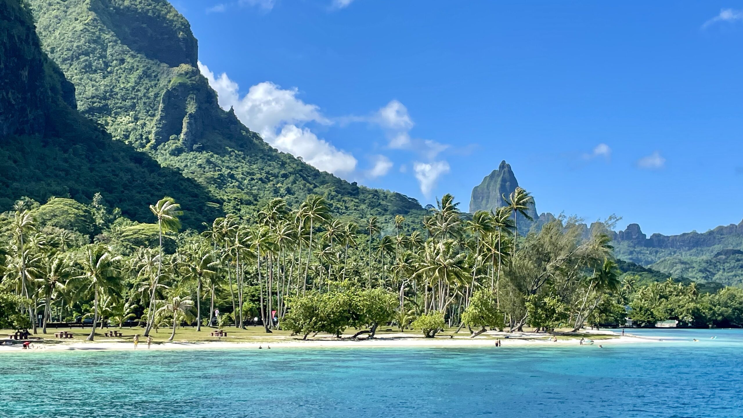Moorea Explorer Excursion lagon avec Moorea Explorer - Tahiti Pratique
